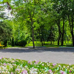 Территория в санатории Россия в городе Ессентуки - фотография